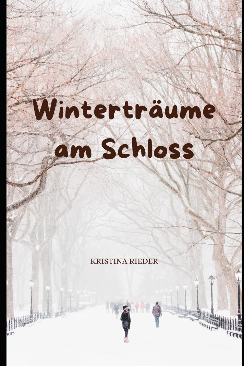 Winterträume am Schloss book
