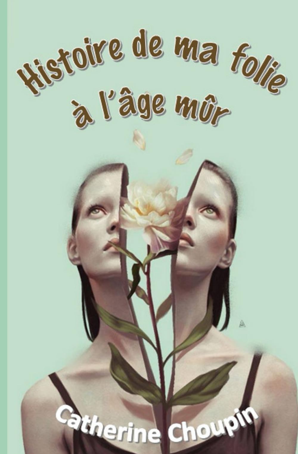 Histoire de ma folie à l'âge mur book