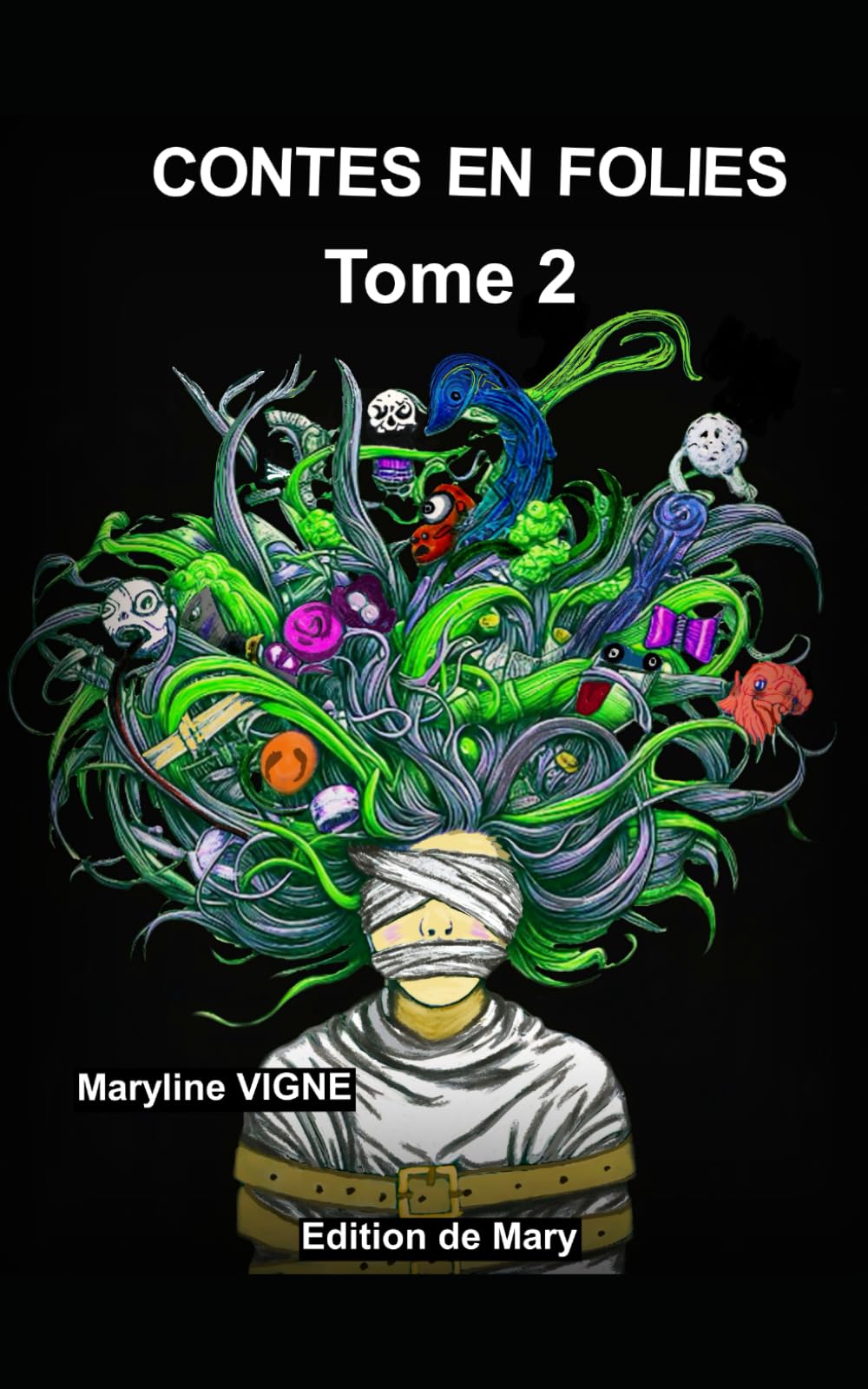 Contes en folies, tome 2 book