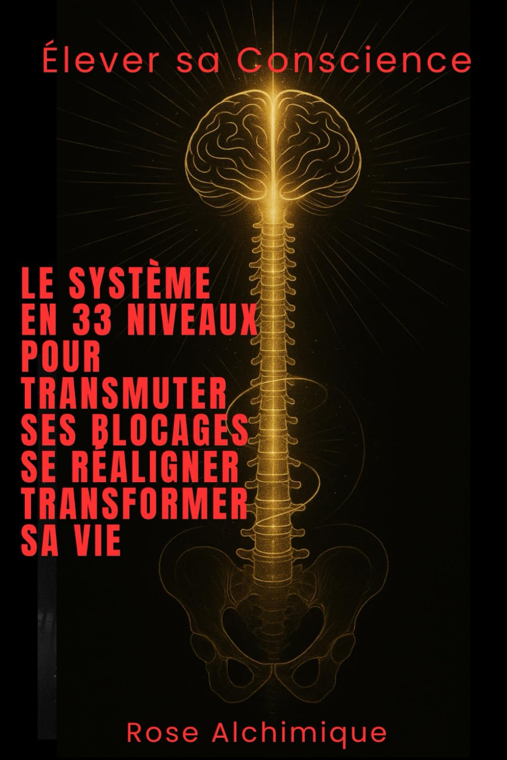 Elever sa conscience : le système en 33 niveaux pour transmuter ses blocages , se réaligner et transformer sa vie: Guide Alchimique book