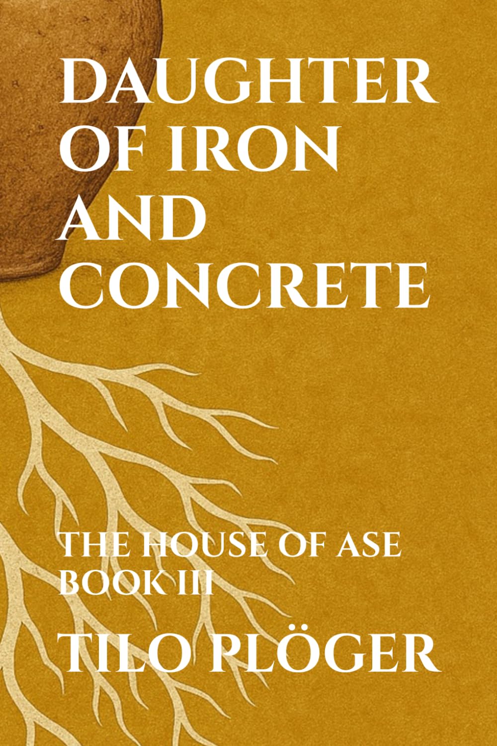 DAUGHTER OF IRON AND CONCRETE: THE HOUSE OF ASE - BOOK III (THE HOUSE OF ÀṢẸ: The Ledger of Names, Band 3) Contemporary literature Books
