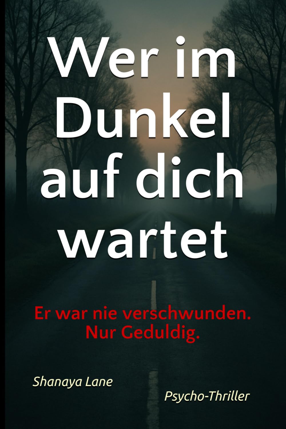 Wer im Dunkel auf dich wartet: Er war nie verschwunden. Nur geduldig. Contemporary literature