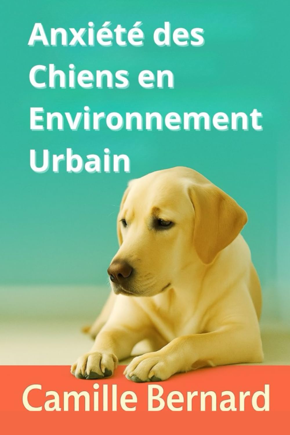 Anxiété des chiens en environnement urbain: Le Guide Révolutionnaire pour Apaiser Votre Chien en 7 Jours book
