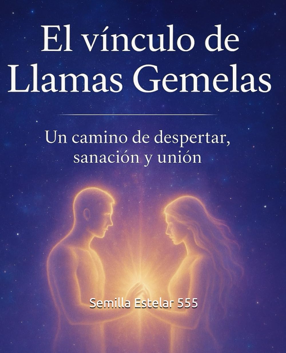 EL VÍNCULO DE LAS LLAMAS GEMELAS: Un camino de Despertar, sanación y unión book