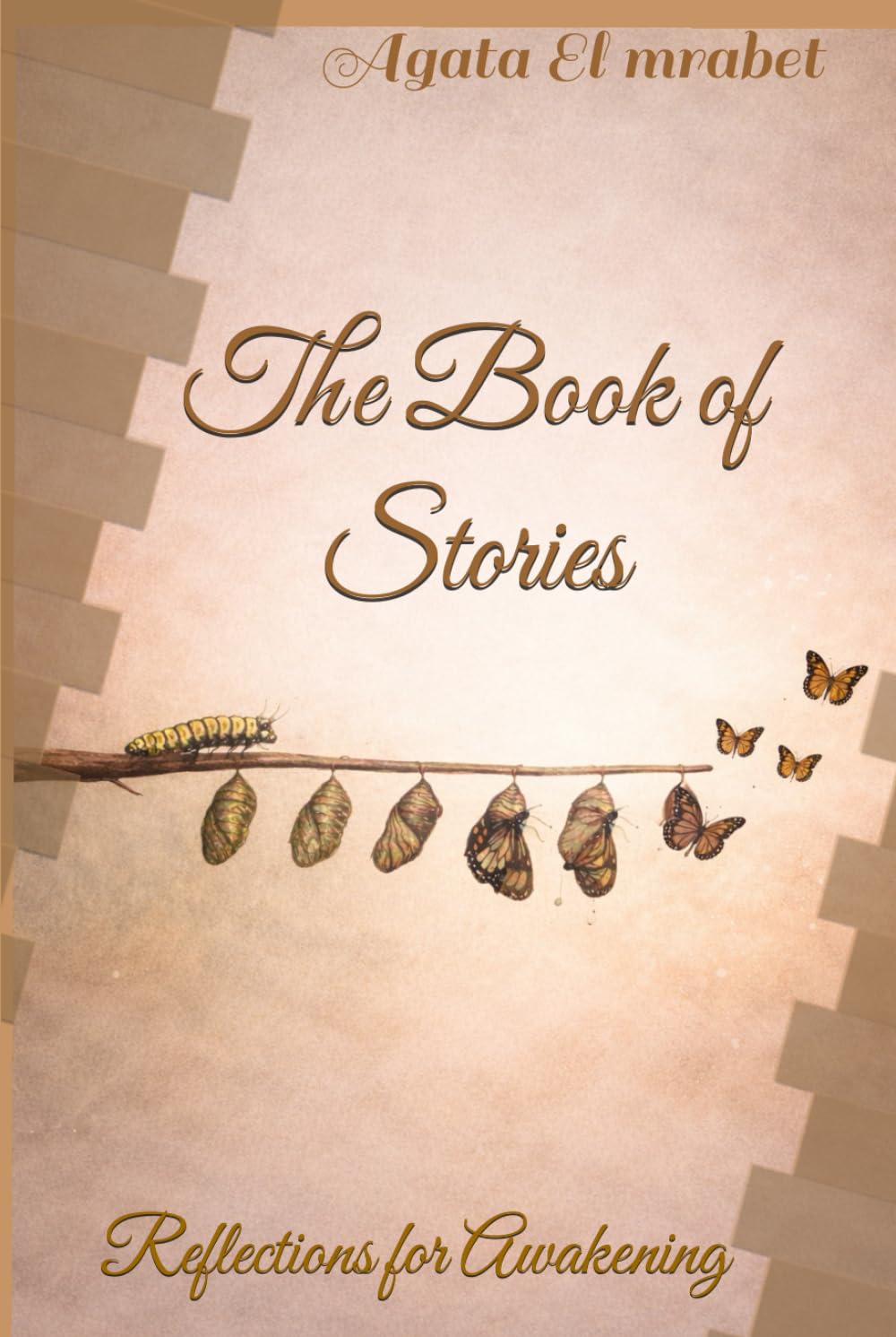 The Book of Stories: Reflections for Awakening book