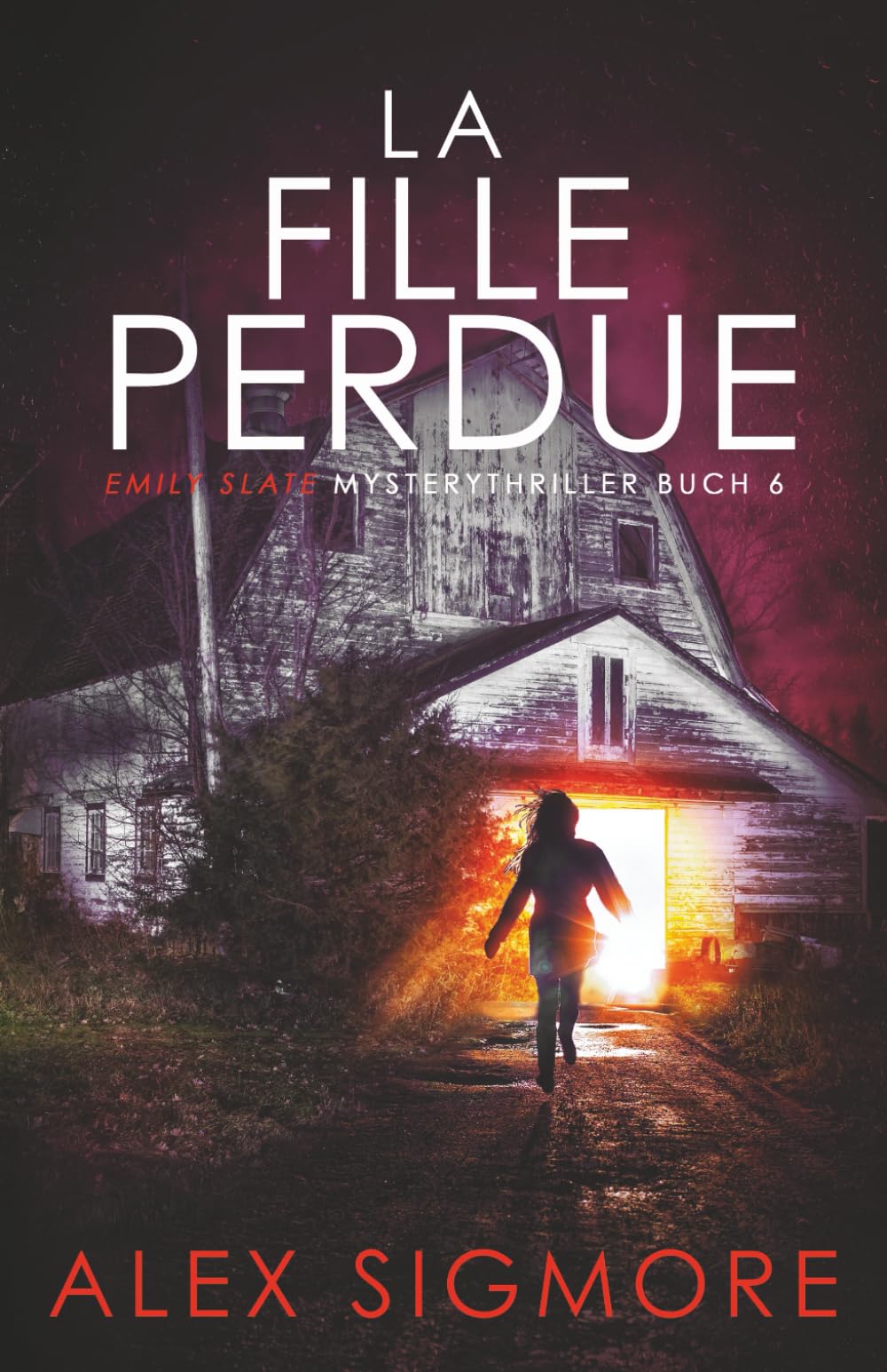 La Fille Perdue (Les Enquêtes d'Emily Slate, Band 6) Detective & CSI