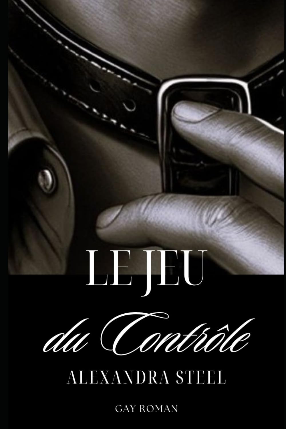 Le Jeu du Contrôle: Gay Roman book