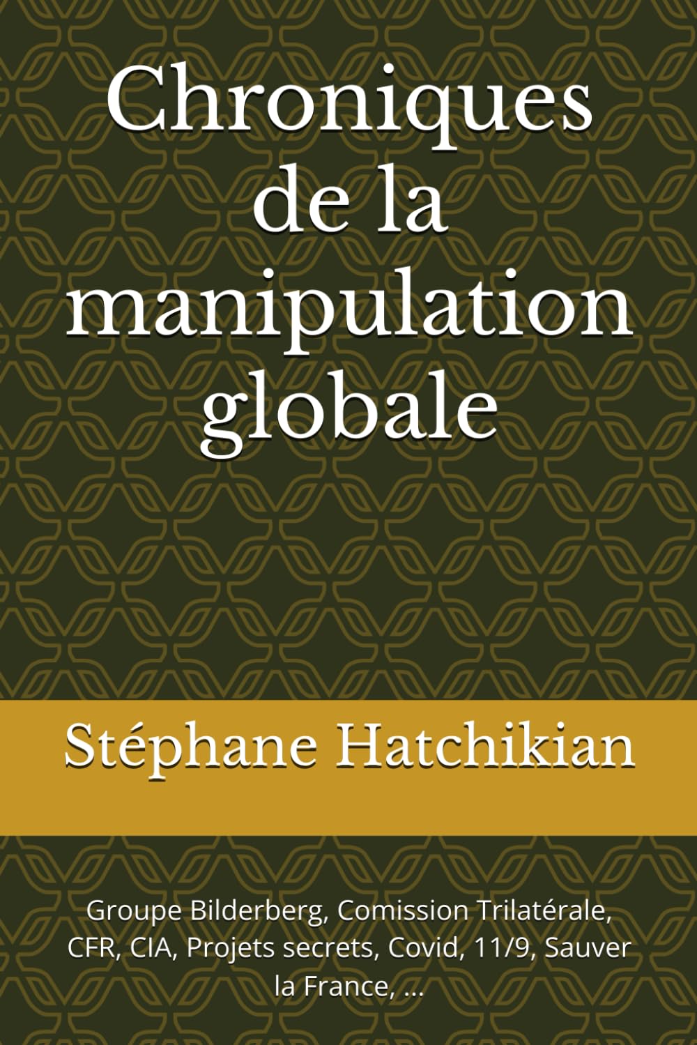 Chroniques de la manipulation globale: Groupe Bilderberg, Comission Trilatérale, CFR, CIA, Projets secrets, Covid, 11/9, Sauver la France, ... book