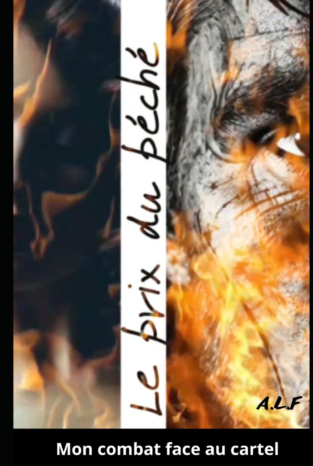 Le prix du péché: Mon combat face au cartel book