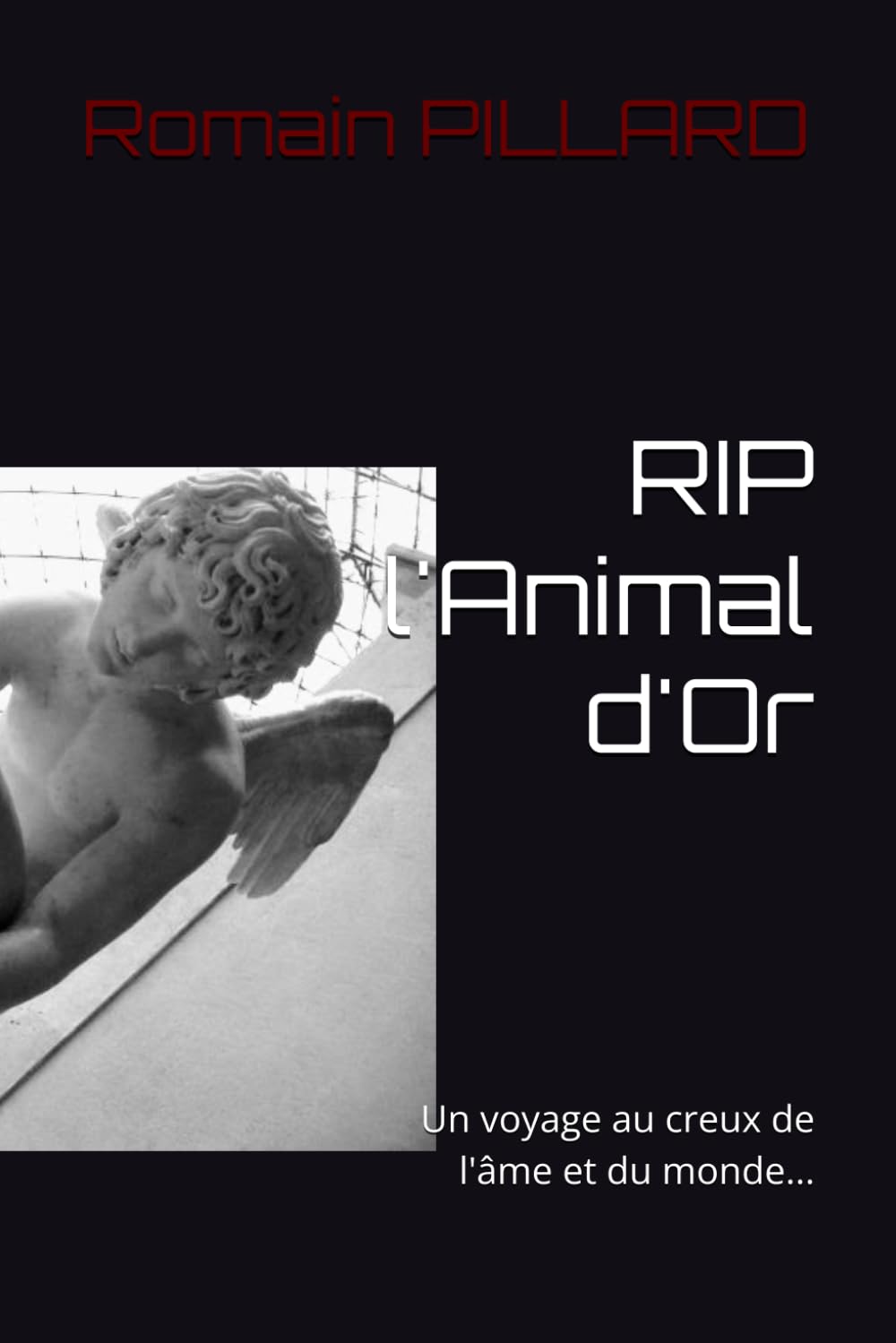 RIP l'Animal d'Or: Un voyage au creux de l'âme et du monde... book