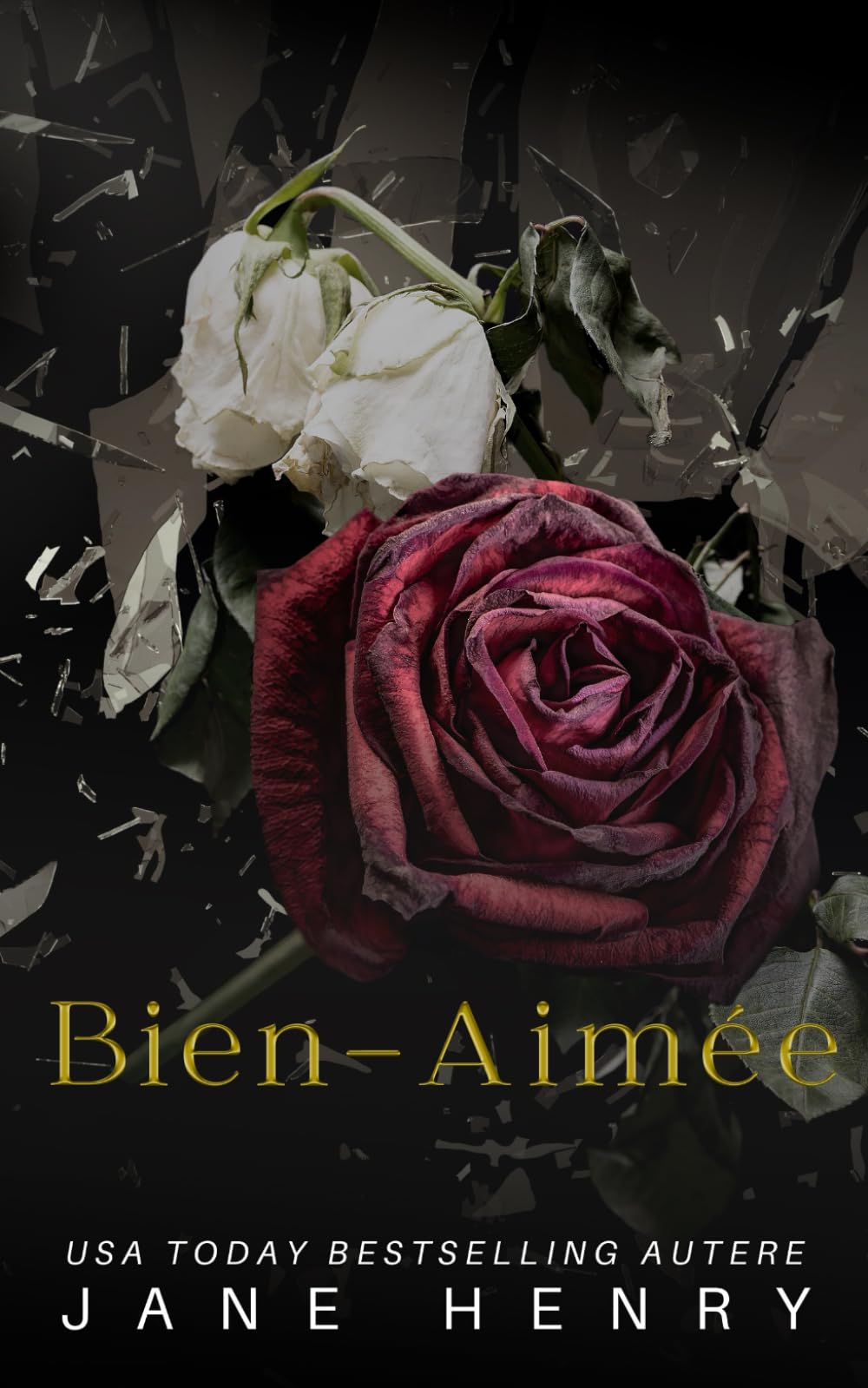 Bien-Aimée: Une Romance Mafieuse Sombre (La Confrérie Montavio, Band 3) Horror & Mystery