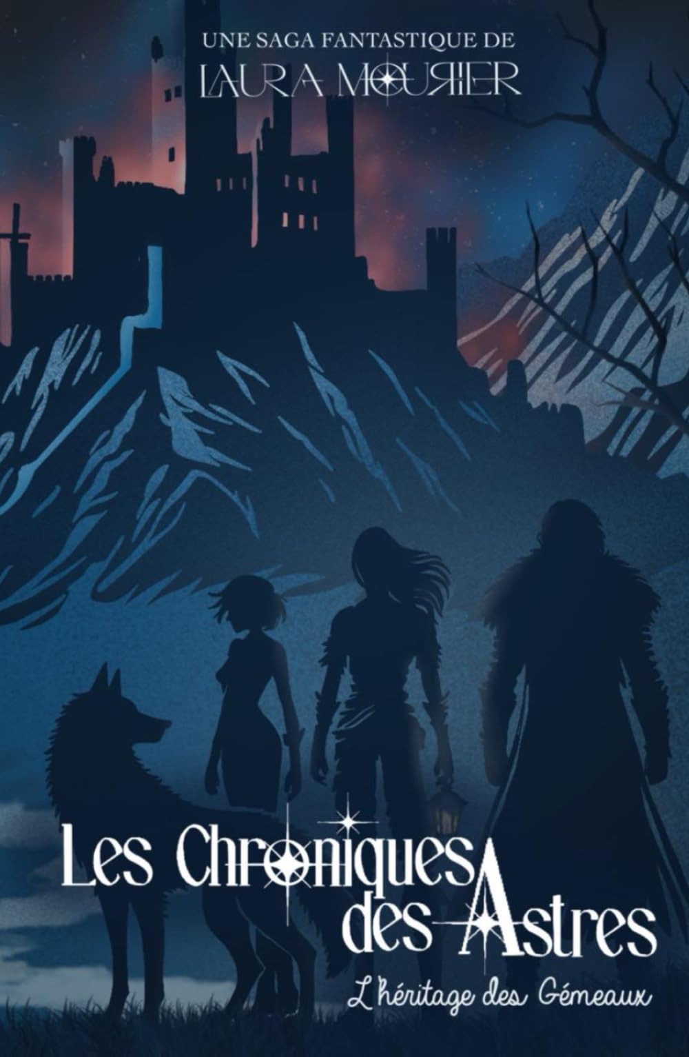 Les chroniques des astres: L'héritage des Gémeaux book