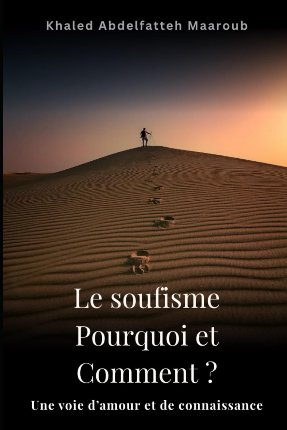 Le Soufisme Pourquoi et Comment ?: Une Voie d'Amour et de Connaissance book