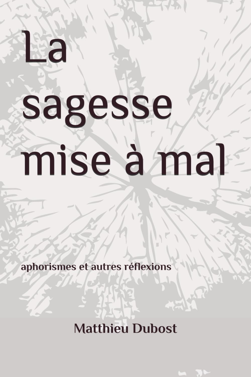La sagesse mise à mal: aphorismes et autres réflexions book