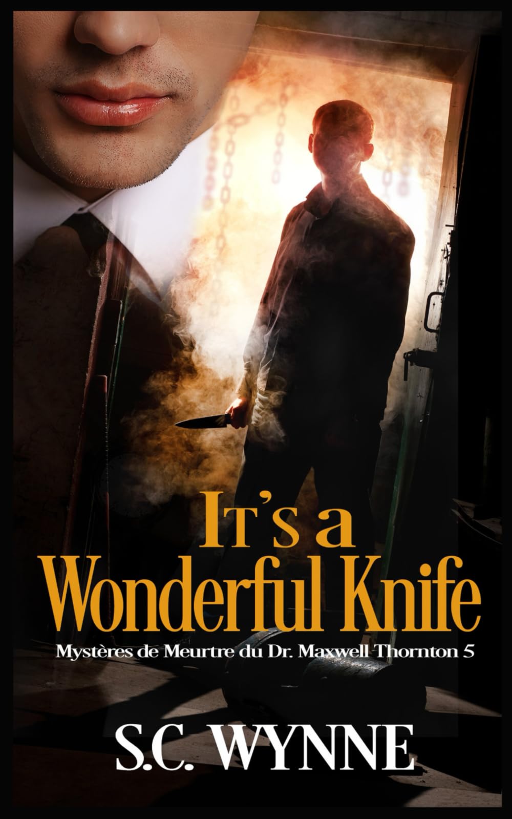 It's a Wonderful Knife: Mystères de Meurtre du Dr. Maxwell Thornton-Livre Cinq (French Edition) Eroticism