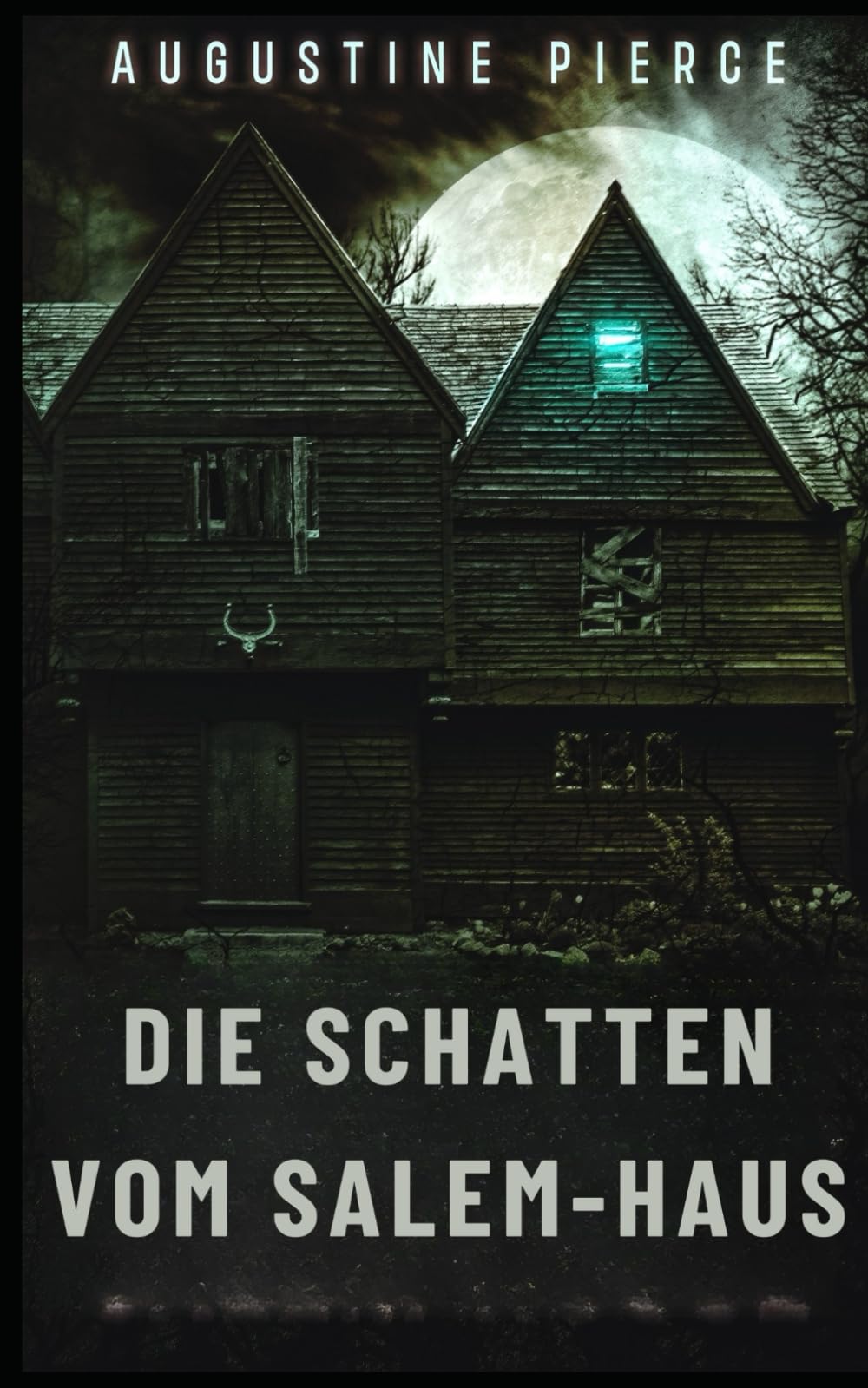 Die Schatten vom Salem-Haus: Dunkles Reich Buch 5 book