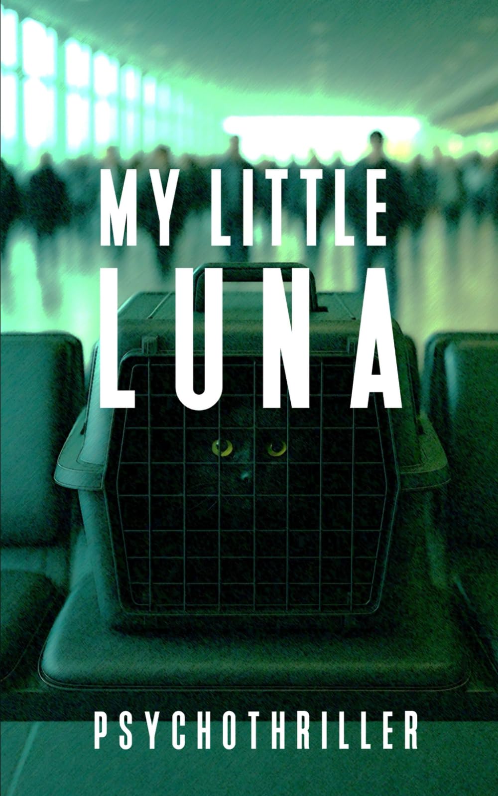 My Little Luna: Ein 60-Minuten Psychothriller über über einen Flug in die Falle book