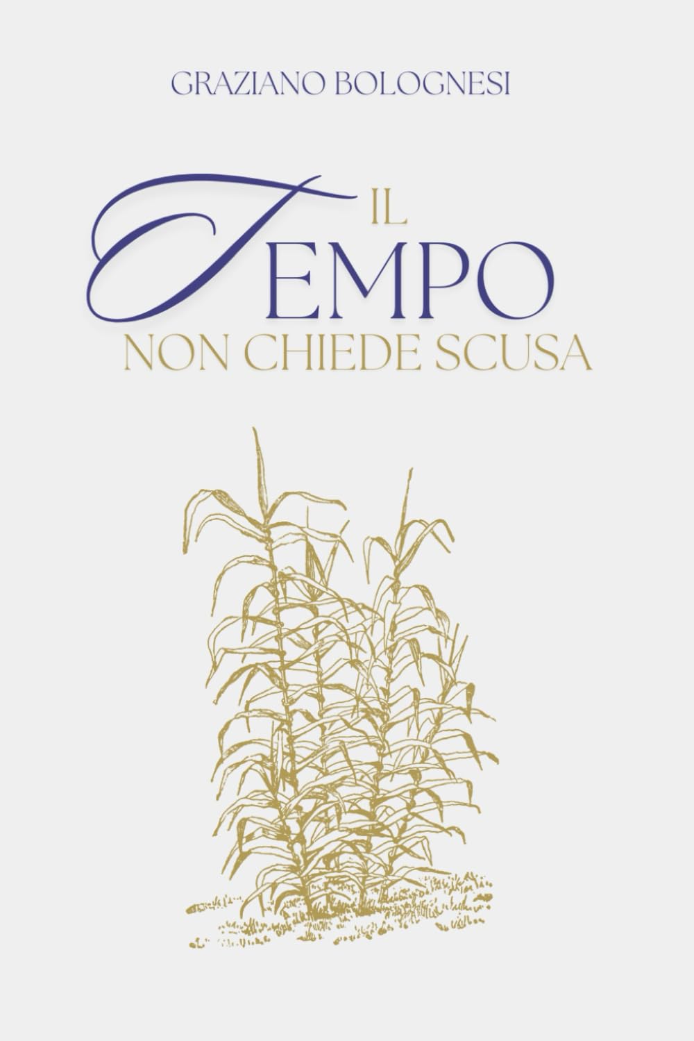 Il Tempo non chiede scusa book