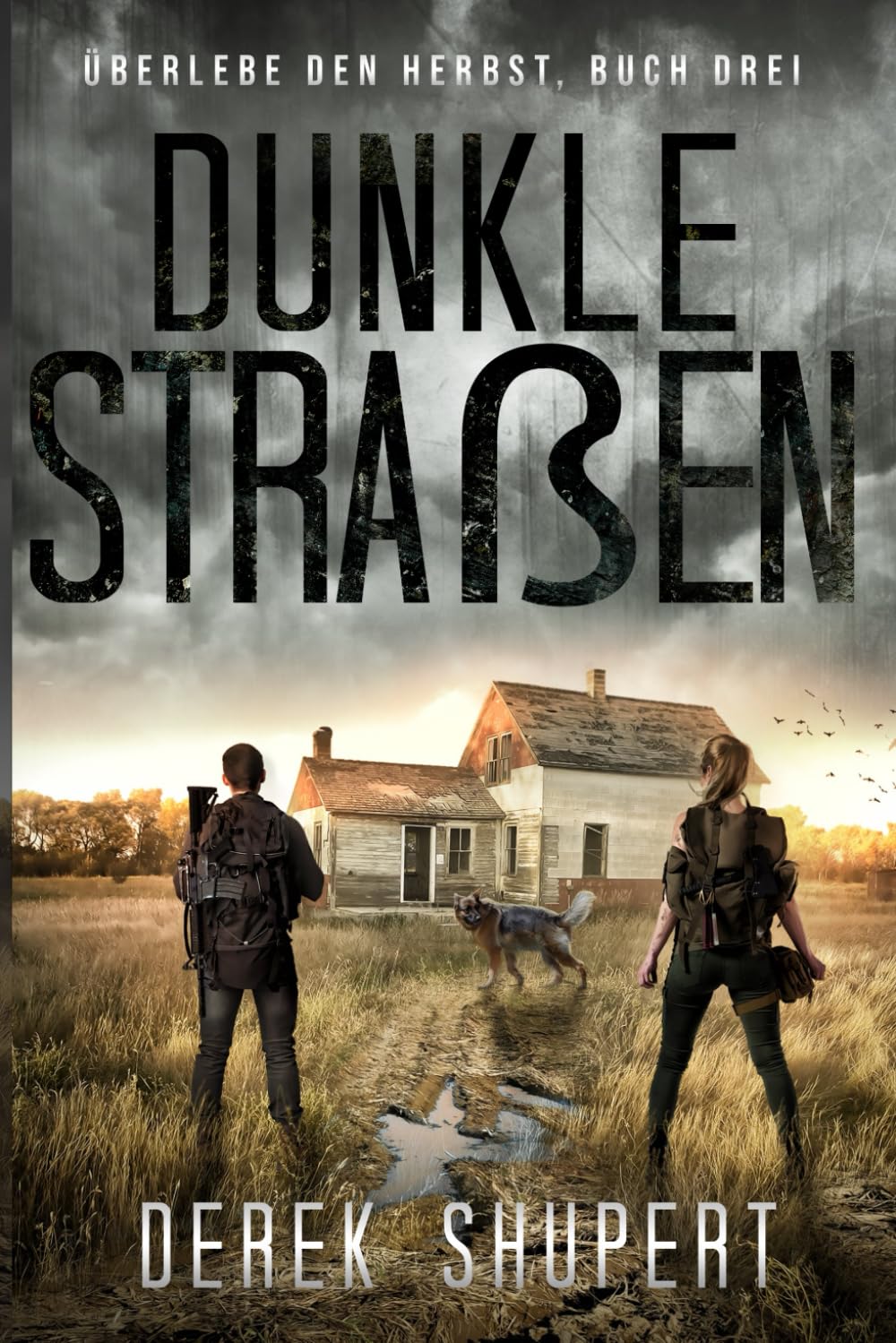 Dunkle Straßen (Survive the Fall, Band 3) Action & Adventure
