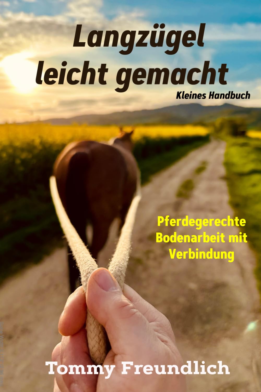 Langzügel leicht gemacht: Pferdegerechte Bodenarbeit mit Verbindung Pets