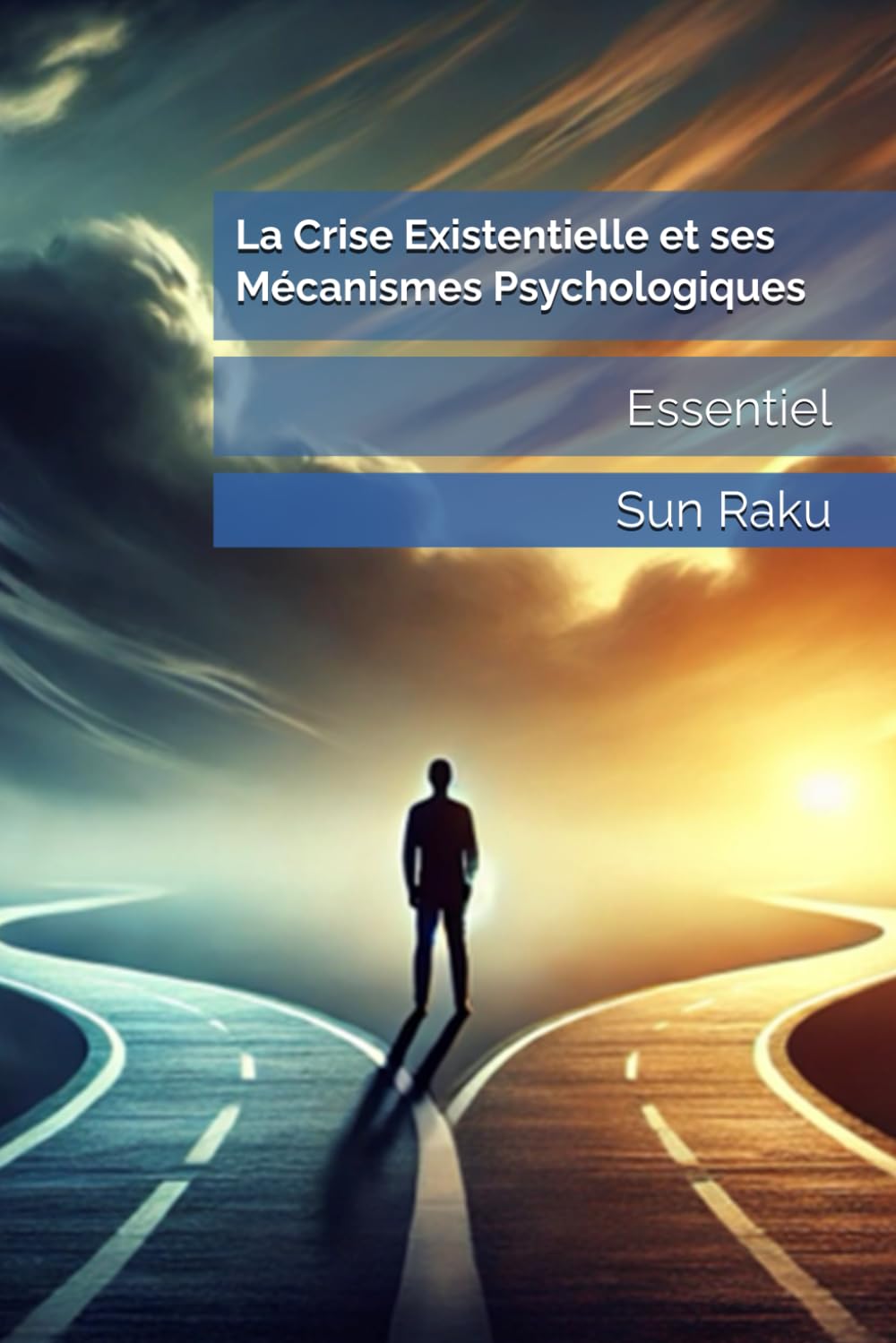 La Crise Existentielle et ses Mécanismes Psychologiques book