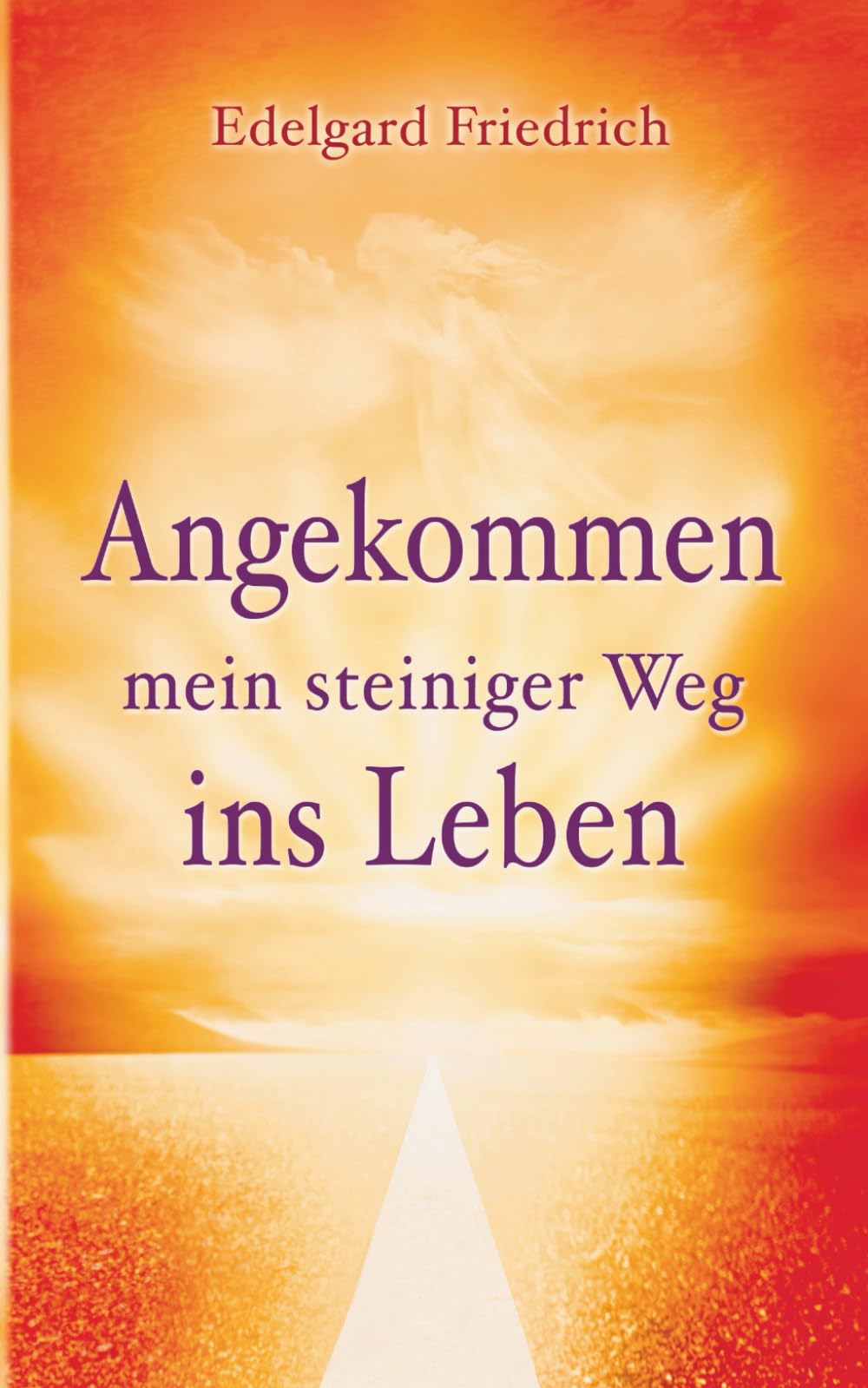 Angekommen - mein steiniger Weg ins Leben book