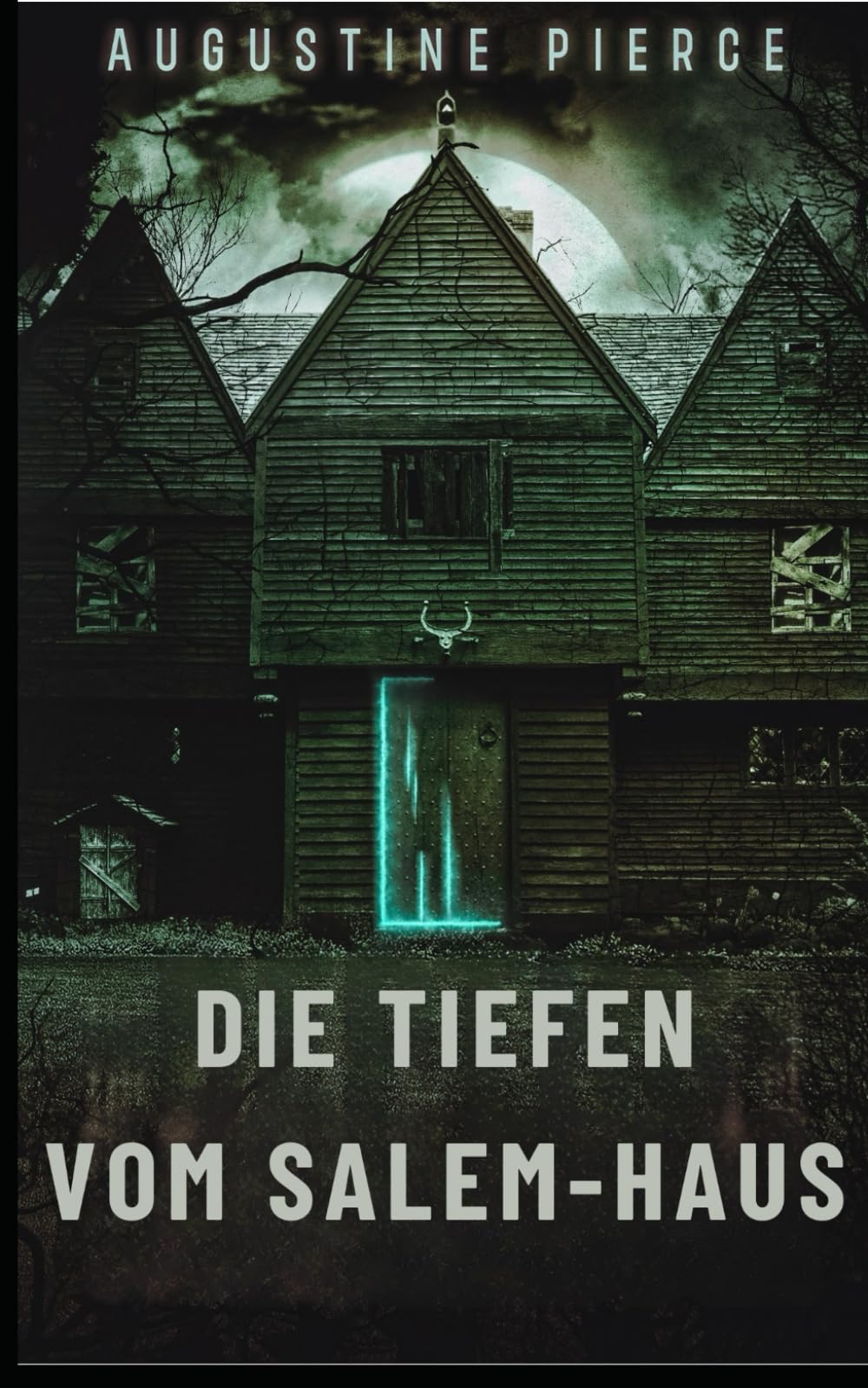 Die Tiefen vom Salem-Haus: Dunkles Reich Buch 6 book