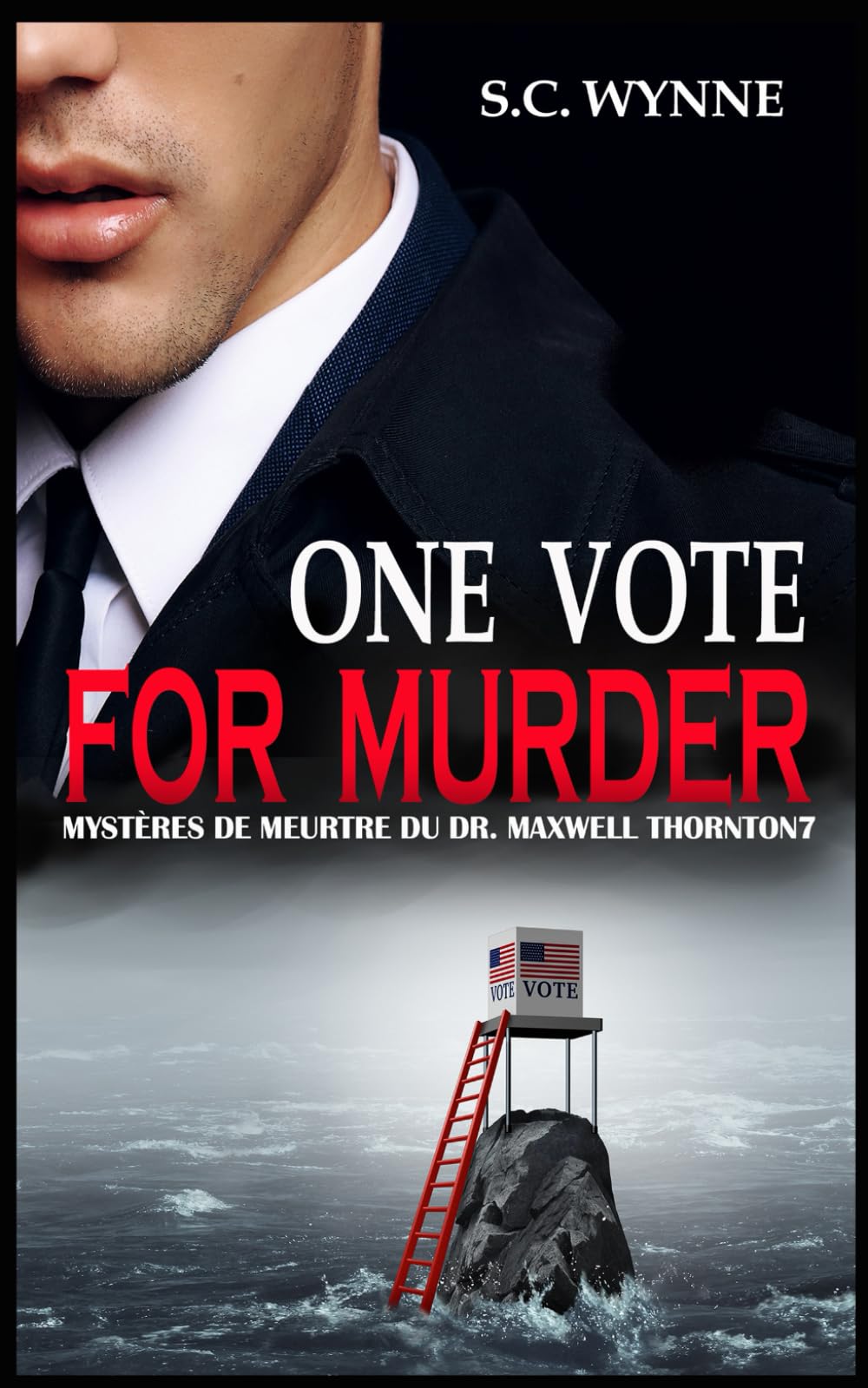One Vote for Murder: Mystères de Meurtre du Dr. Maxwell Thornton-Livre Sept book