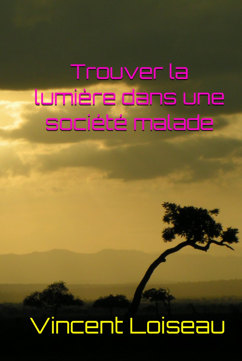 Trouver la lumière dans une société malade book