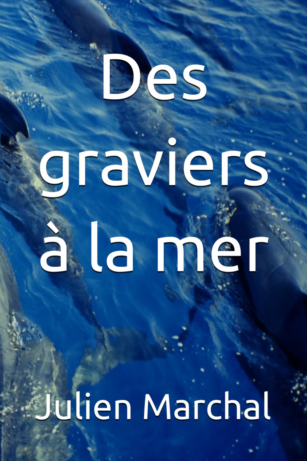 Des graviers à la mer book