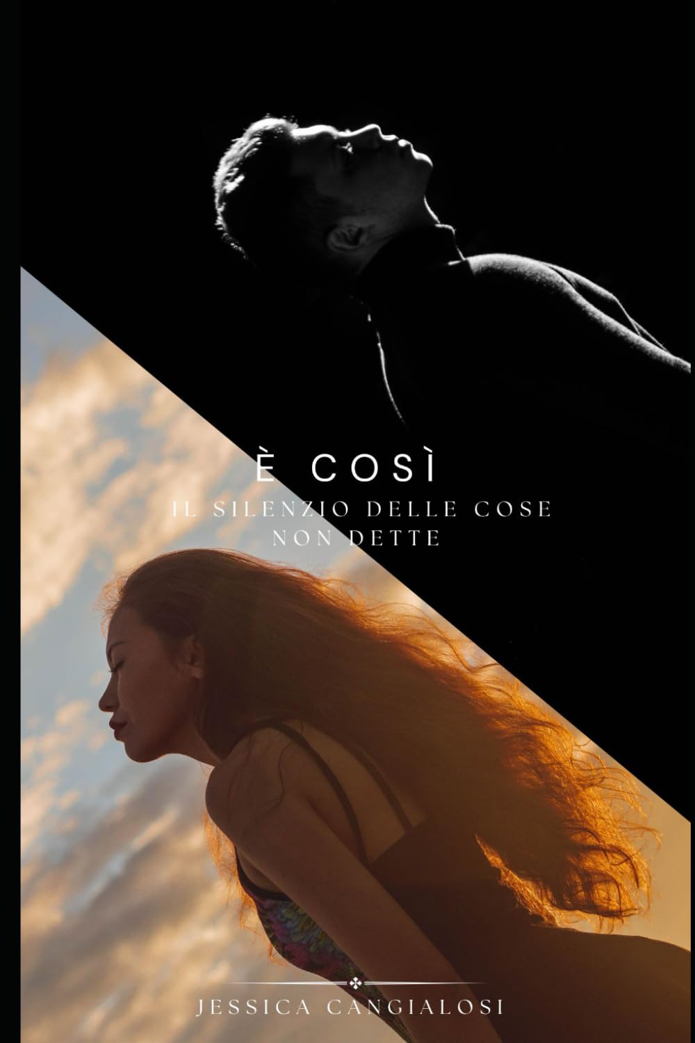 È così: Il silenzio delle cose non dette book