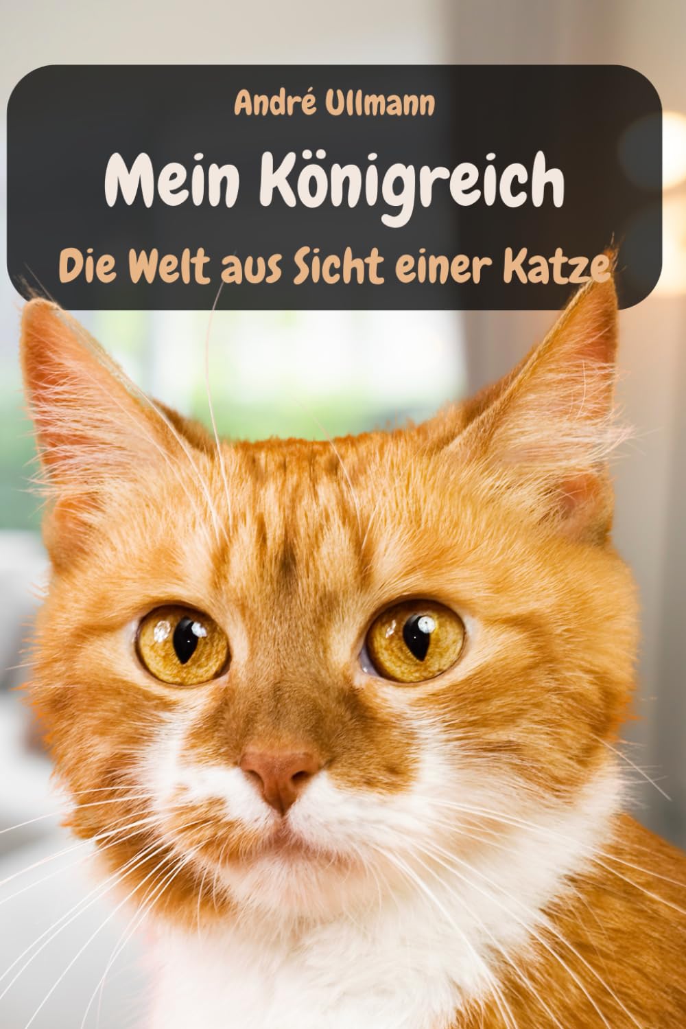 Mein Königreich - Die Welt aus Sicht einer Katze (Tiergeschichten) Contemporary literature