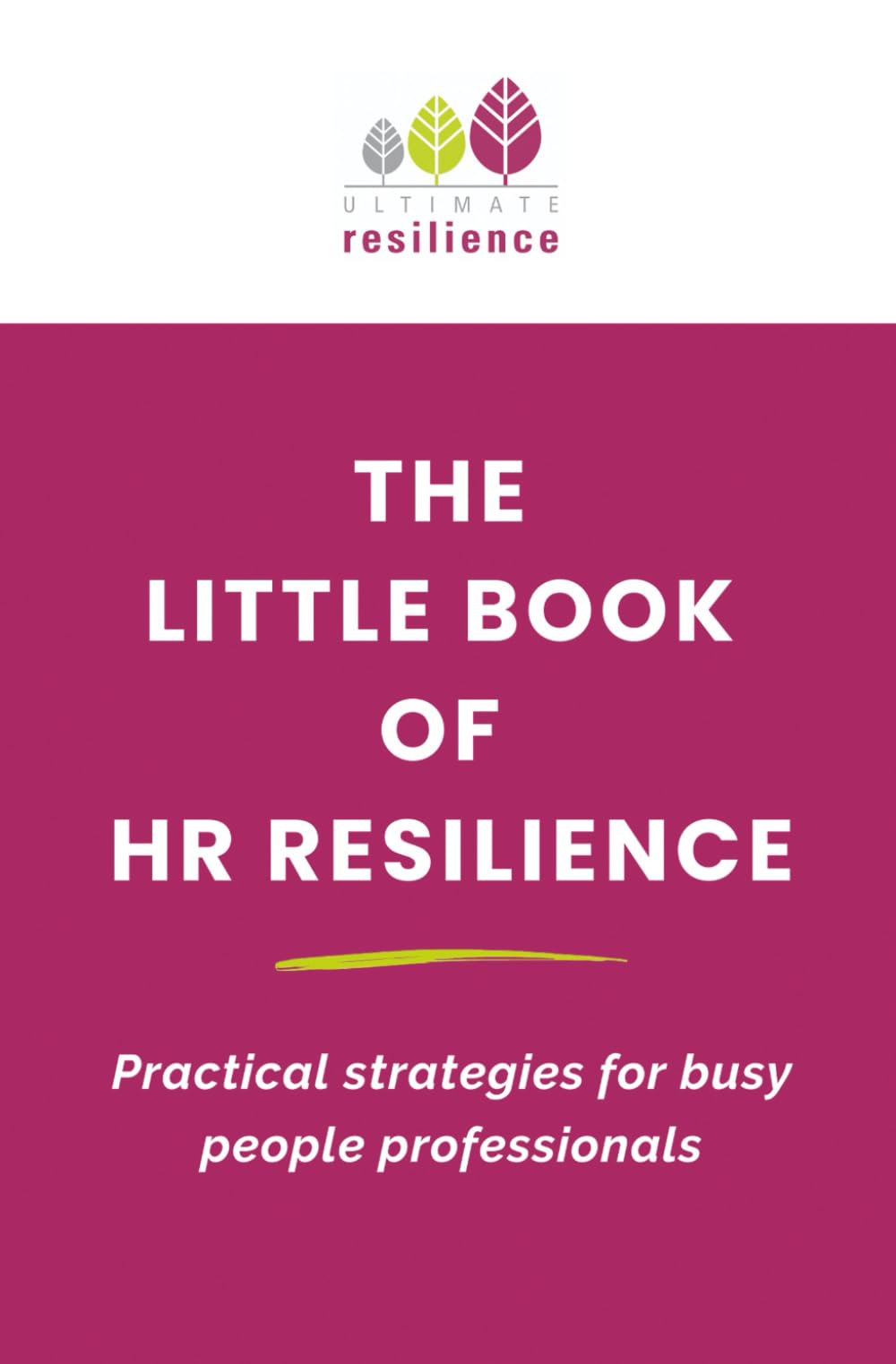 The Little Book of HR Resilience: Practical strategies for busy people professionals Business, Finance & Career