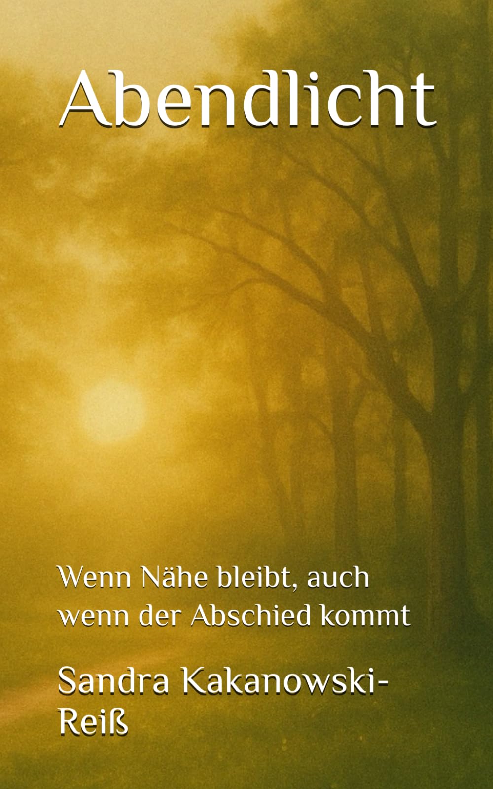 Abendlicht: Wenn Nähe bleibt, auch wenn der Abschied kommt (7 Tage Pflege, Band 1) Contemporary literature
