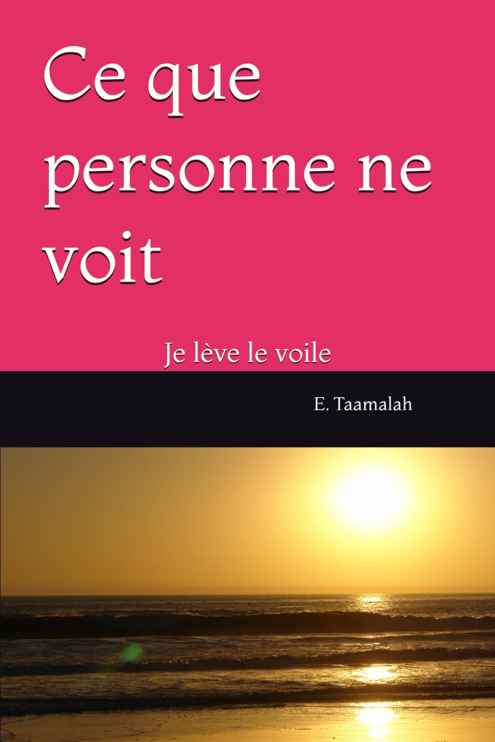 Ce que personne ne voit: Je lève le voile book