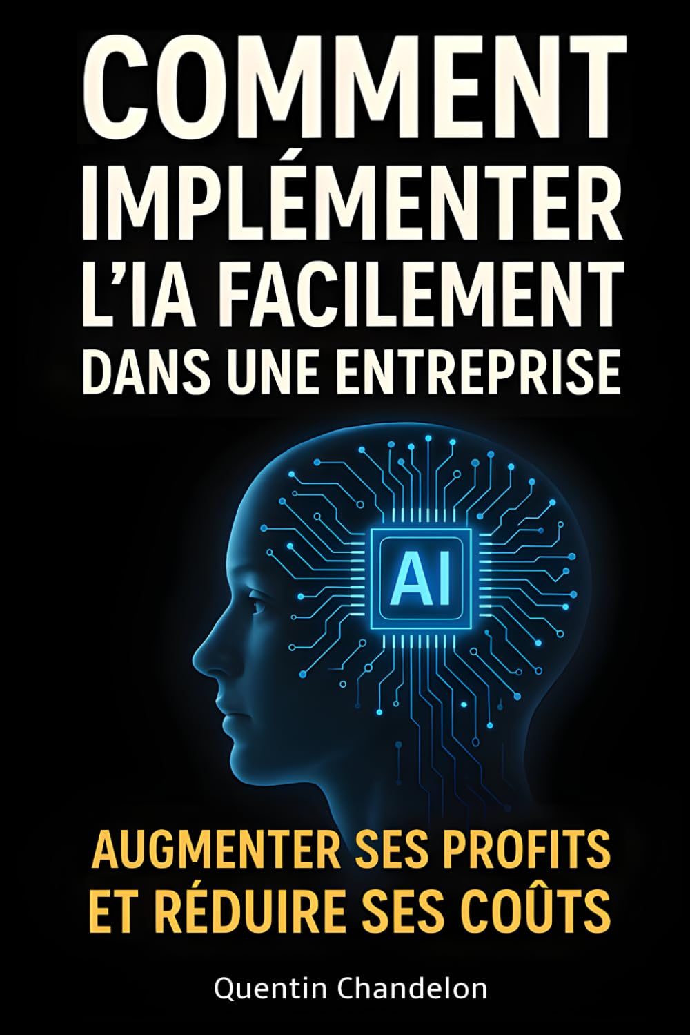 Comment implémenter l'IA facilement dans une entreprise. Augmenter ses profits et réduire ses coûts. book