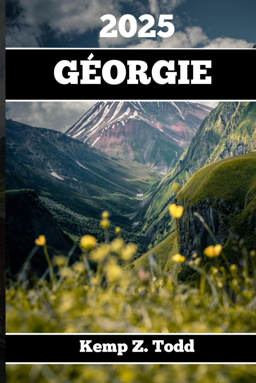 GÉORGIE GUIDE DE VOYAGE 2025: Informations importantes et conseils pour préparer votre voyage : Tout ce que vous devez savoir avant votre voyage book