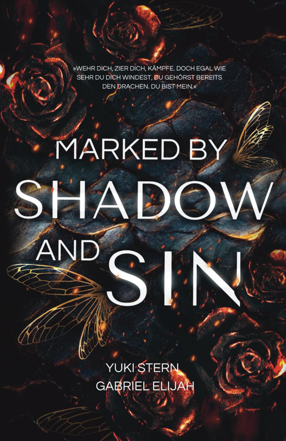 Marked by Shadow and Sin: Heiße Drachen-Fantasy mit Dark MM Romance LGBTQ+