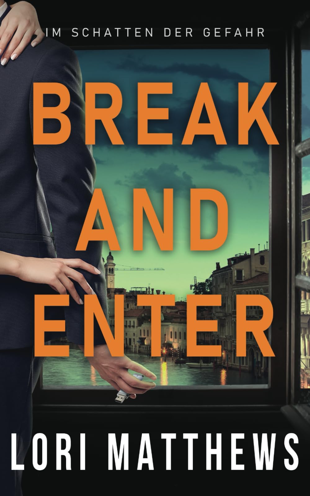 Break and Enter: Im Schatten der Gefahr book