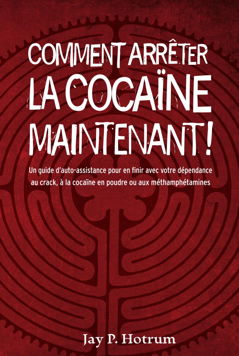 Comment arrêter la cocaïne maintenant !: Un guide d’auto-assistance pour vaincre votre dépendance au crack, à la cocaïne en poudre et aux méthamphétamines (GlobalAddictionSolutions.org) book