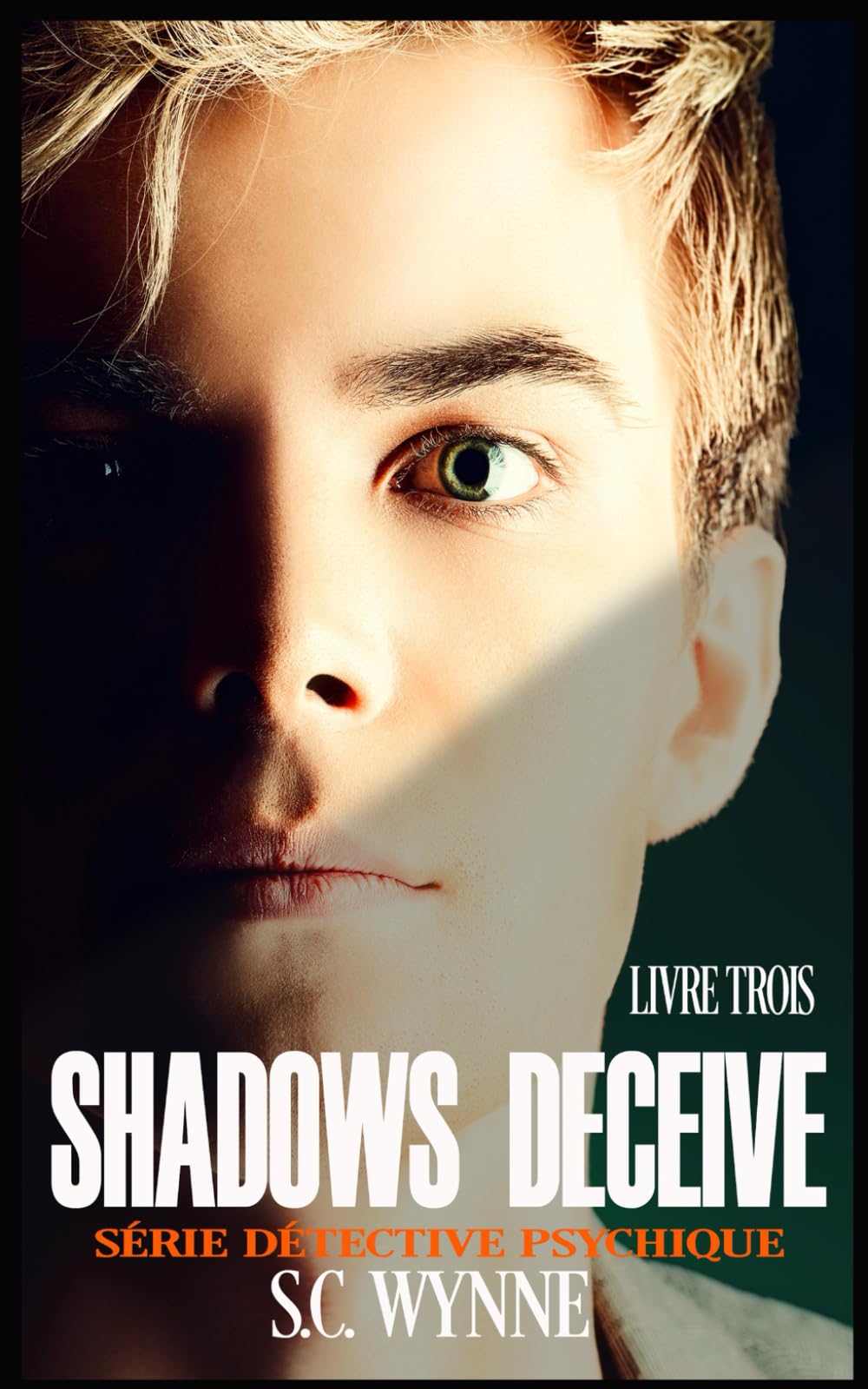 Shadows Deceive: Série Détective Psychique Tome 3 book