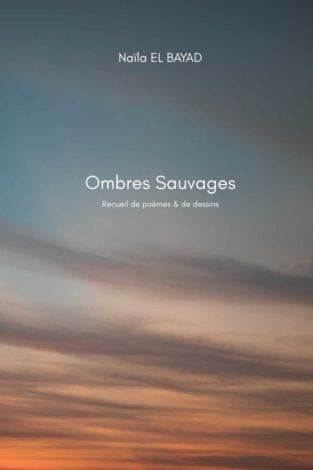Ombres Sauvages : Recueil de poèmes & de dessins book