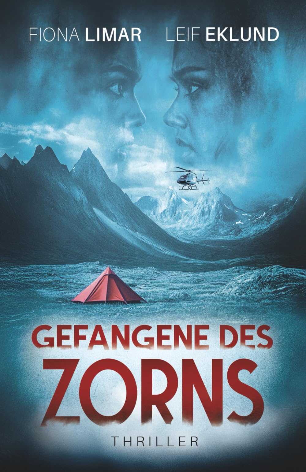 Gefangene des Zorns: Schwedenthriller Detective & CSI