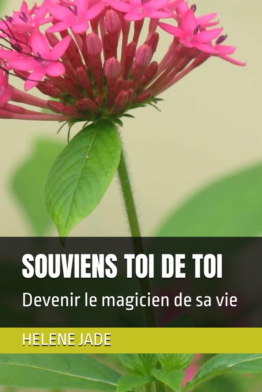 SOUVIENS TOI DE TOI: Devenir le magicien de sa vie book
