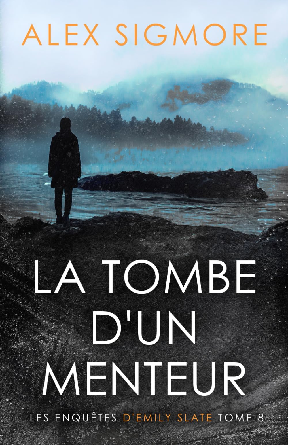La Tombe d'un Menteur (Les Enquêtes d'Emily Slate, Band 8) Detective & CSI