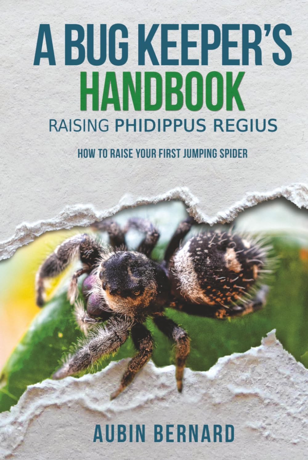 A Bug Keeper's Handbook - Raising Phidippus regius: How to raise your first jumping spider book