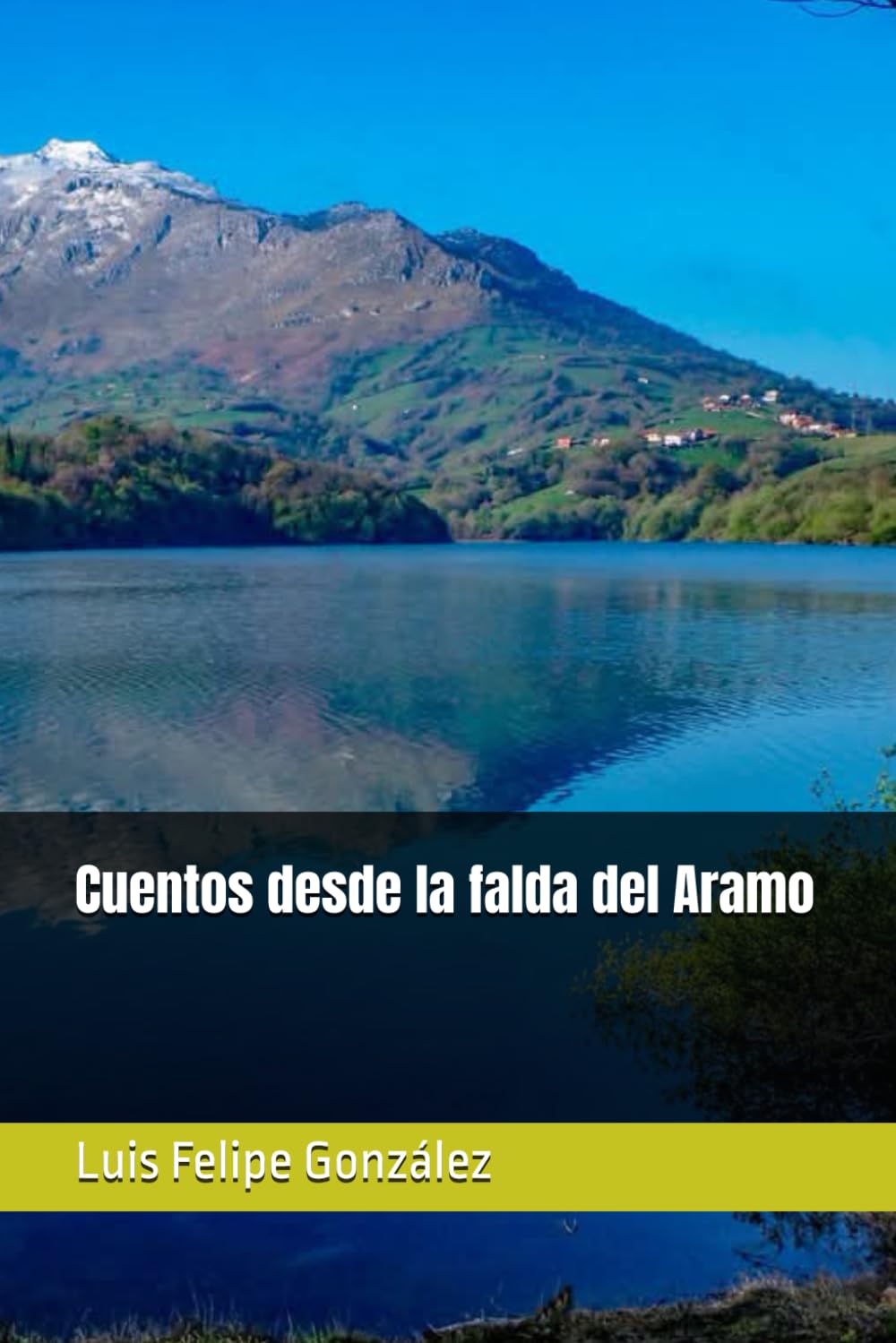 Cuentos desde la falda del Aramo book