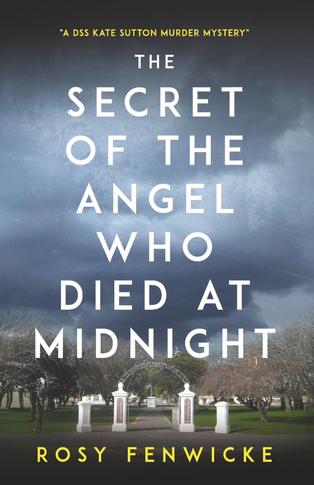 The Secret of the Angel Who Died at Midnight.: A DSS Kate Sutton Murder Mystery. book