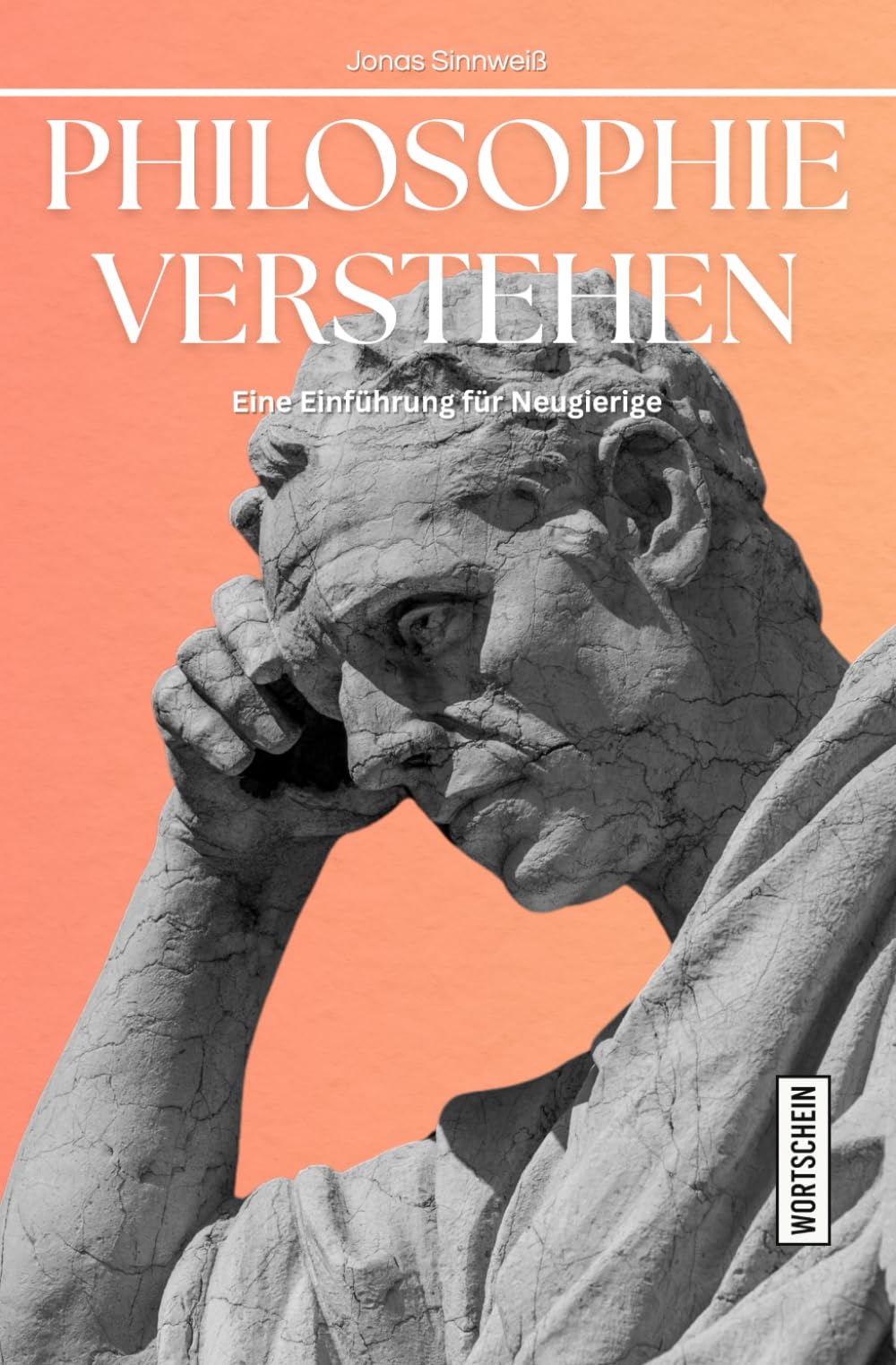 Philosophie verstehen: Eine Einführung für Neugierige (Einführungen für Neugierige) Philosophy