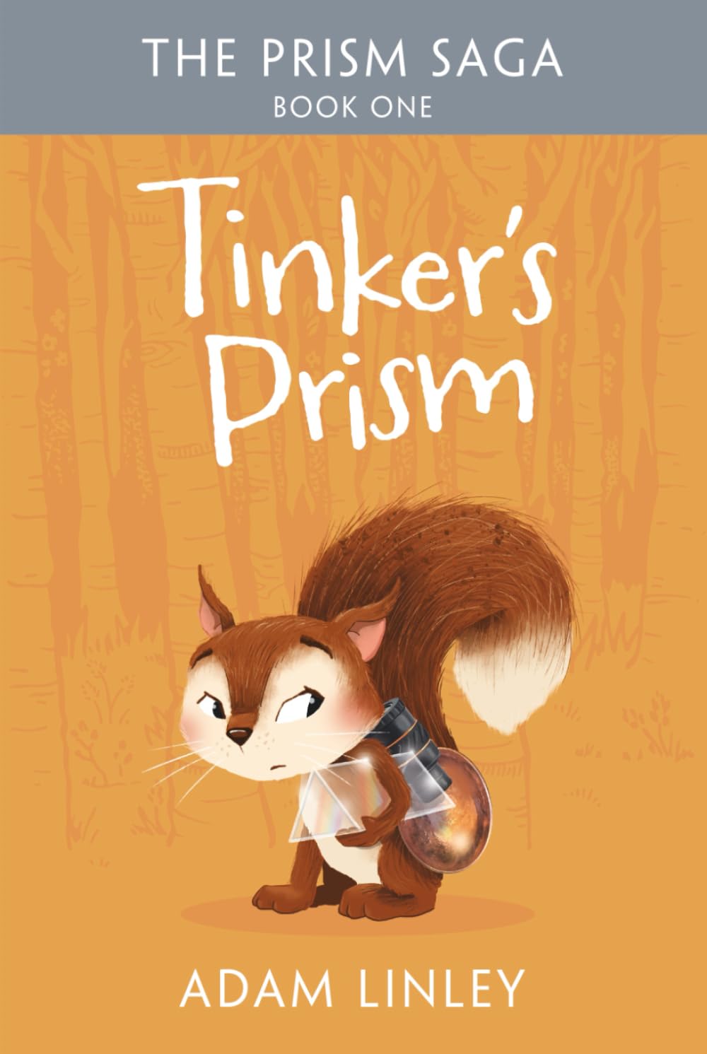 Tinker's Prism: The Prism Saga Book One Action & Adventure